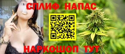 гашик Пыть-Ях
