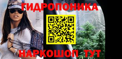 гашик Пыть-Ях