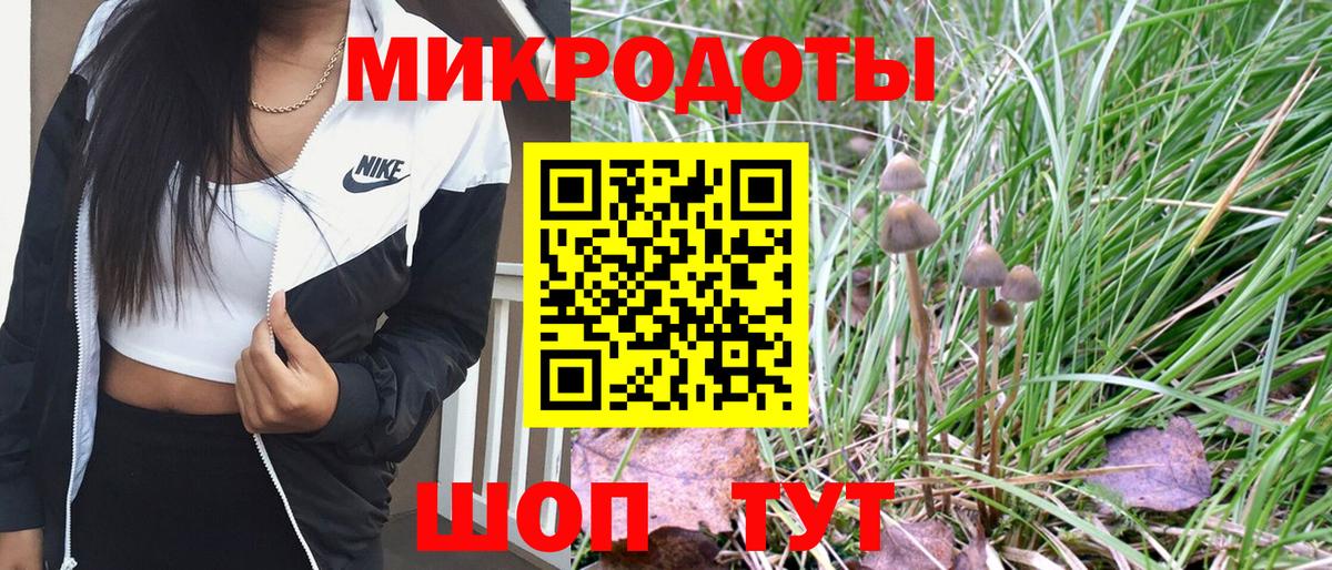 МАРИХУАНА Новороссийск