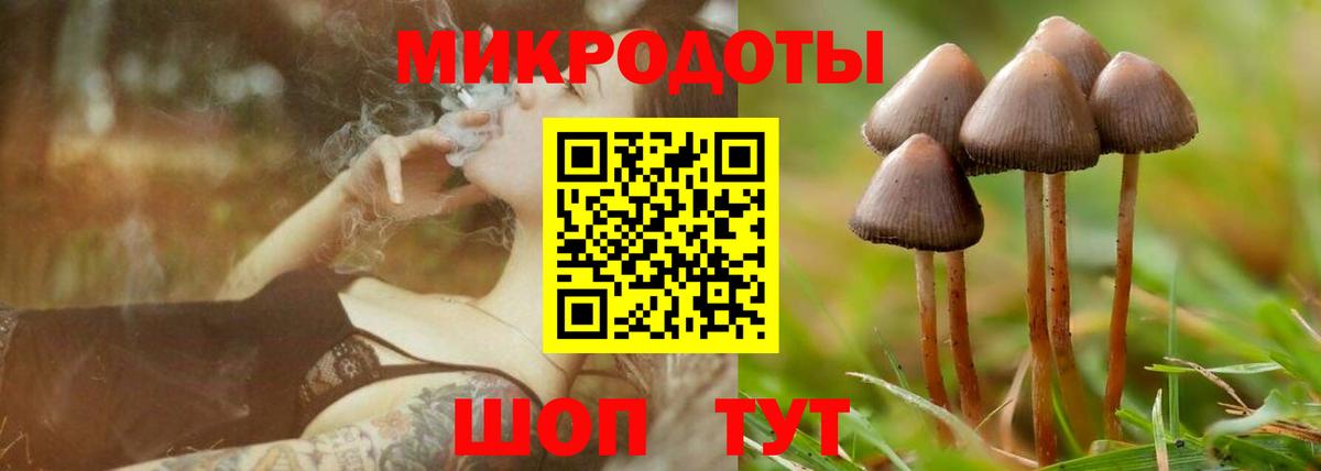 как найти закладки  Псилоцибиновые грибы Cubensis  Новороссийск  Вход с VPN  Псилоцибиновые грибы ЛСД 